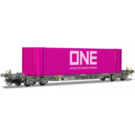 Wagon IFA Sffgmss Arnold TT HN9738 - Conteneur 45 pieds ONE/ERMEWA | H66