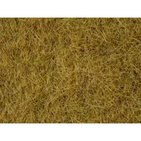 NOCH 07091 Herbe Sauvage Beige 6 mm Pot de 100g - Décoration | H66